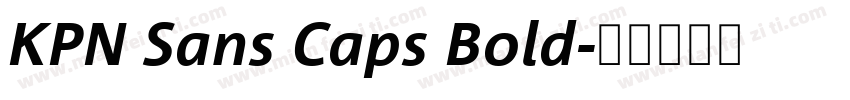 KPN Sans Caps Bold字体转换